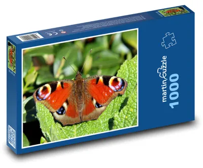 Zdjęcie produktu dla Puzzle 1000 Motyl - pawik - martinpuzzle