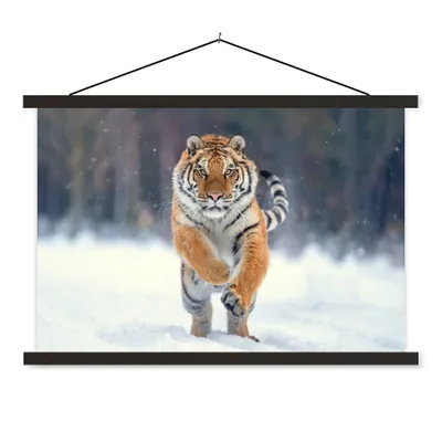 Produktbild von MuchoWow® Textilposter Tiger - Landschaft - Schnee - Tiere 120x80 cm mit schwarzem Rahmen - Wanddeko