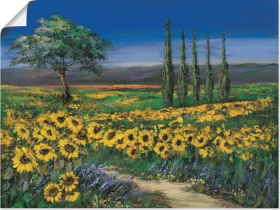 Produktbild von ARTland Poster Sonnenblumenfeld Größe: 60x45 cm
