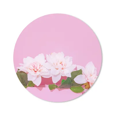 Produktbild von MuchoWow® Mauspad Mousepad Blüte - Sommer - Rosa 30x30 cm - Mousepads - Maus Mat - Pad - Mausunterlage - Tischunterlage - Schreibtischmatten