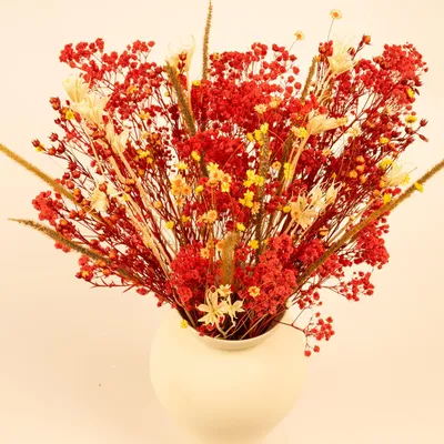 Trockenblumen-Set, 122 Stiele, 45 cm, Herbstdeko