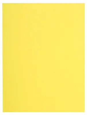 Produktbild von Exacompta 10x 100er Packung Aktendeckel 100% RC 22x31cm - Kanariengelb - 150005E