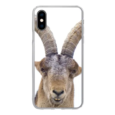 Produktbild von MuchoWow® Handyhülle Schutzhülle Hülle für iPhone X Steinbock - Tiere - Hoorn Silikon Softcase Handy Hülle - Handyhülle