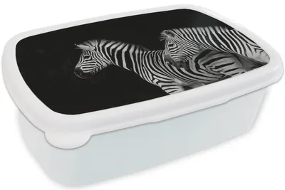Produktbild von KitchenYeah® Lunchbox Brotzeit Brotdose 17x11 cm Zebra - Weiß - Tiere - Schwarz Kinder Brotzeitdose - Lunch Box - Kinder - Sandwich-Box - Schulbox - Lunch Boxen