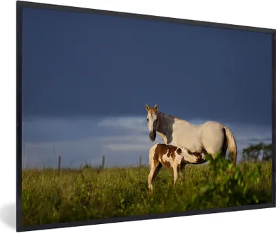 Produktbild von MuchoWow® MuchoWow® Gerahmtes Poster Pferde - Gras - Fohlen 90x60 cm - Poster mit zchwarzem Bilderrahmen - Fotorahmen - Foto-Plakat