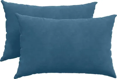 Image de vidaXL Coussins de canapé 2 pièces bleu 60 x 40 cm tissu velours côtelé