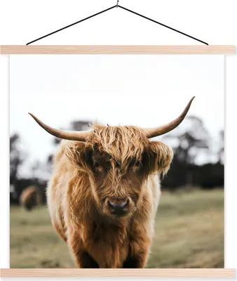 Produktbild von MuchoWow® Textilposter Schottisches Hochlandrind - Kuh - Gras - Tiere - Natur 60x60 cm mit holzfarbenen Rahmen - Wanddekoration