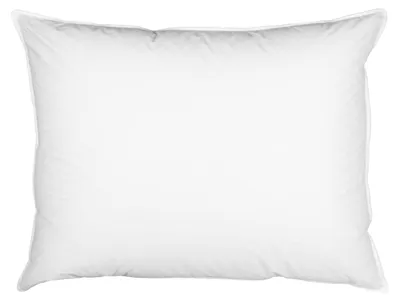 Obrázek produktu pro Omgoods – polštář z peří, 100% bavlna – 70x90 cm – Pevná podpora