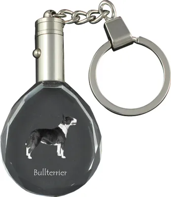 Produktbild von Bull Terrier, Bullterrier - Anhänger mit einem Foto eines Hundes, Schlüsselanhänger aus Kristall in einer Geschenkbox, ein einzigartiges Geschenk von Art-Dog