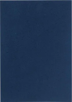 Produktbild von LMG Signaltechnologie 100 LMG rückwaende für Bindemappen blau