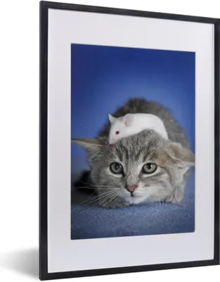 Produktbild von MuchoWow® MuchoWow® Gerahmtes Poster Katze - Maus - Blau 30x40 cm - Poster mit zchwarzem Bilderrahmen - Wandposter Schlafzimmer