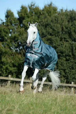 Produktbild von Bucas Atlantic Turnout 50 115 cm
