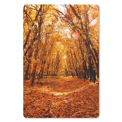 Produktbild von MuchoWow® Mauspad Mousepad Herbst - Wald - Laub - Jahreszeiten 18x27 cm - Mousepads - Maus Mat - Pad - Mausunterlage
