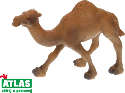 Obrázok produktu pre B - Figúrka ťavy 11 cm