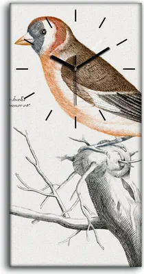 Produktbild von Wandkunst Leinwand Bild Uhr Geräuschlos 30x60 Gemälde Tier Vogel Zweig Kunst - schwarze Hände
