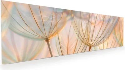 Produktbild von Glasbild 120x40cm in XXL für Wohnzimmer, Schlafzimmer Motiv Pusteblumen Kunst