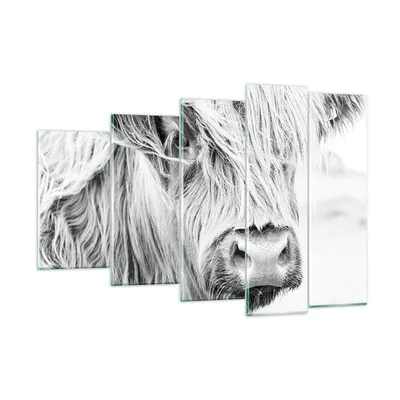 Produktbild von Bilder auf glas - 5 Teile - Kuh Scotch Tier - 150x100cm - Glasbilder - Wandbilder - Bilder - zum Aufhängen bereit - Wanddekoration aus Glas - Glas Bilder - Wandbild auf Glas - GEG150x100-5129