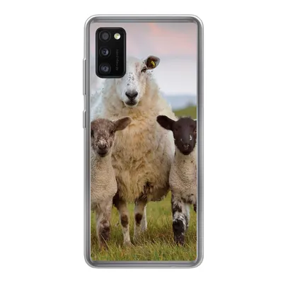 Produktbild von MuchoWow® Handyhülle Schutzhülle Hülle für Samsung Galaxy A41 Schafe - Natur - Schwarz - Weiß Silikon Softcase Handy Hülle - Mobiltelefon