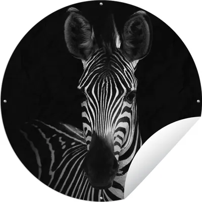 Produktbild von MuchoWow® Gartenposter Outdoor-Poster Rund Zebra - Schwarz - Weiß - Tiere Ø 120 cm Gartendeko Rundes Poster draußen