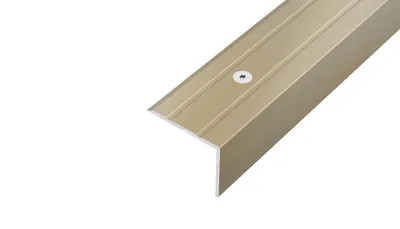 Obrázek produktu pro AP8 schodová lišta vrtaná ACARA, hliník elox champagne, 20 mm, 25 mm, 0,9 m