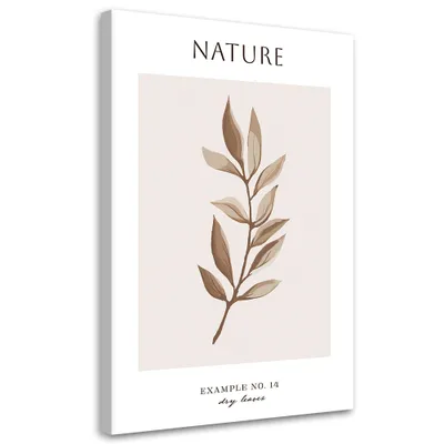 Produktbild von Leinwandbild Getrocknete Blätter – Natur 60x90 Feeby Beige bild für die wand bereit zum aufhängen