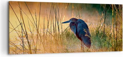 Produktbild von Bild auf Leinwand - Leinwandbild - Vogel Natur Wasser - 120x50cm - Wand Bild - Wanddeko - Leinwanddruck - Bilder - Kunstdruck - Wanddekoration - Leinwand bilder - Wandkunst - AB120x50-3708