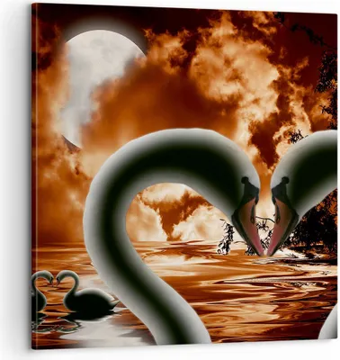 Produktbild von Bild auf Leinwand - Leinwandbild - Schwäne Nacht Liebe - 60x60cm - Wand Bild - Wanddeko - Wandbilder - Leinwanddruck - Bilder - Kunstdruck - Wanddekoration - Leinwand bilder - Wandkunst - AC60x60-0293