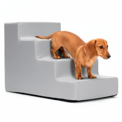 Produktbild von SPRINGOS Treppe für Hunde Katzen 4 Stufen - hellgrau