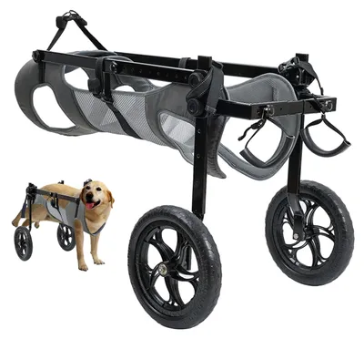 Imagen del producto de Silla de ruedas plegable y ajustable para perros grandes