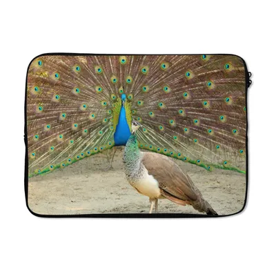 Produktbild von MuchoWow® Laptop Hülle 14 ZollPfaue - Vögel - Federn Laptoptasche - Laptoptasche - Stoßsicher - Schutzhaube