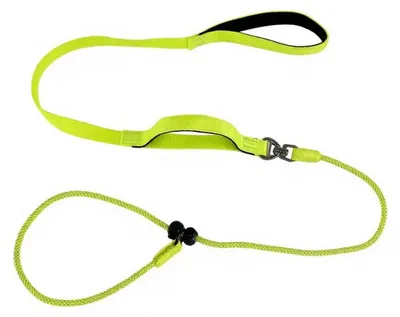 Image de Laisse pour chien, poignée rembourrée, 180 cm, nylon réfléchissant, vert