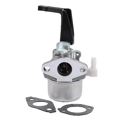 Produktbild von Vergaser mit Montagedichtung für Briggs & Stratton 696065