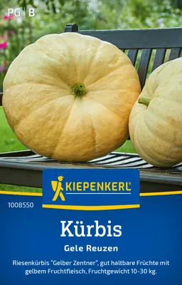 Produktbild von Kiepenkerl Kürbissamen Gele Reuzen Cucurbita maxima 6 Pflanzen