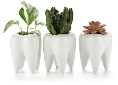Zdjęcie produktu dla Zestaw 3 białych mini doniczek ceramicznych na kaktusy i do dekoracji