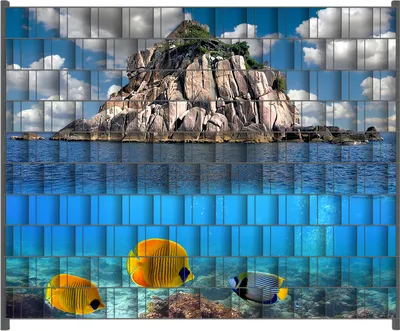 Produktbild von Wallario Zaunsichtschutz mit Motiv Exotische Fische im Meer für Ein- und Doppelstabmatten Zäune in der Größe 250 x 200 cm