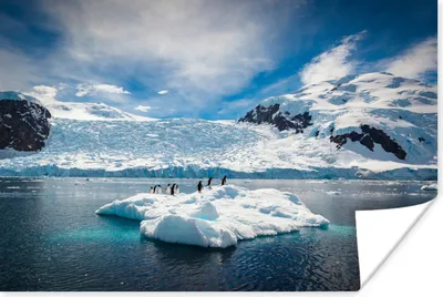Produktbild von MuchoWow® Poster Pinguine entspannen sich auf einem Eisberg in der Antarktis 60x40 cm - Schlafzimmerdekoration