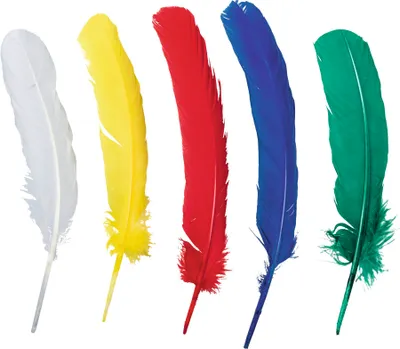 Zdjęcie produktu dla 5Xheyda 204885407 Indianerfeder17-19Cm