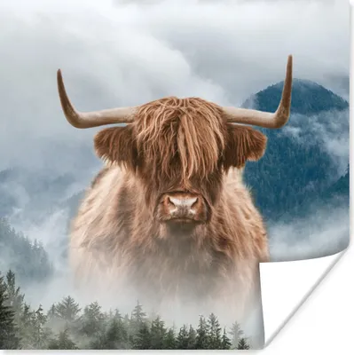 Produktbild von MuchoWow® Poster Schottischer Highlander - Nebel - Berg 50x50 cm - Wohnzimmerdekoration