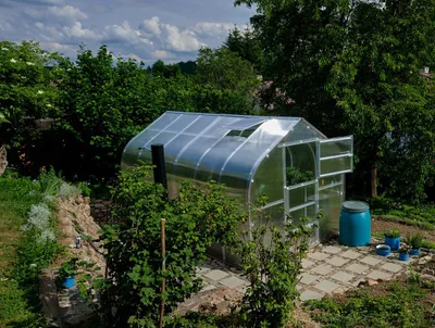 Obrázok produktu pre Skleník KLASIKA STANDART 5 (2,5 x 2 m) so základom, 6 mm polykarbonátom a strešnými výlezmi s automatickými otváračmi.