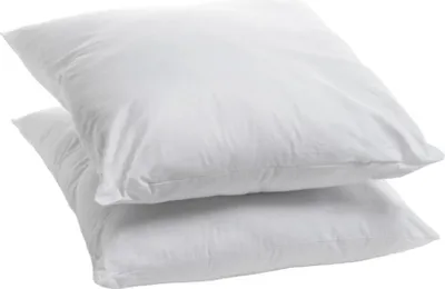 Image de Bleu Calin Lot de 2 Oreillers 60x60cm Moelleux Anti punaises de lit