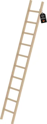 Produktbild von Sprossen-Anlegeleiter Holz ohne Traverse 10 Sprossen