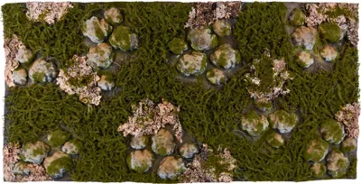 Produktbild von Repiterra® Terrarium Rückwand 3D Hintergrund Wald Design für 120x60cm Terrarien