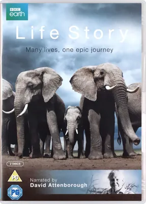 Obrázek produktu pro Přežití (pouze v originálním znění) [2xDVD]