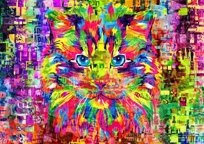 Image de Bluebird Puzzle Chat Wonderful Cat - 1000 pièces Puzzle Chat