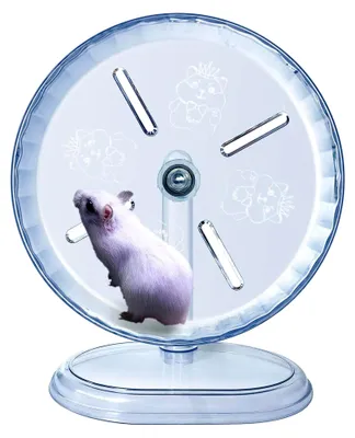 Produktbild von Hamsterrad, leises Hamsterrad, ruhiges Übungsrad für Kleintiere (Transparent, Ø21cm)