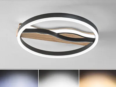 Produktbild von Moderne LED Deckenleuchte & Wandleuchte Schwarz, Lichtfarbe einstellbar Ø 40cm