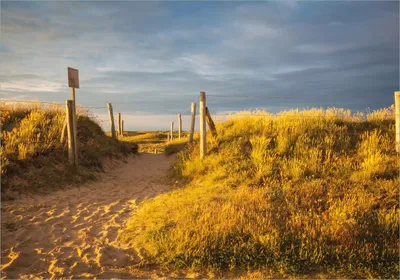 Produktbild von Wallario selbstklebendes Poster - Düne am Strand bei Sonnenuntergang in Frankreich, Größe: 70 x 100 cm