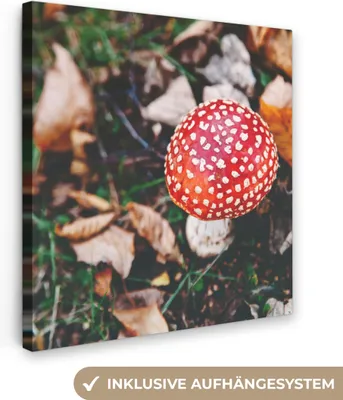 Produktbild von MuchoWow® - Leinwandbilder - Herbst - Pilz - Blätter - Natur, Wandbild, Wanddeko Bilder Wohnzimmer, 90x90 cm