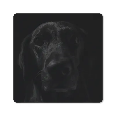 Produktbild von MuchoWow® Mauspad Mousepad Hund - Haustier - Schwarz 20x20 cm - Mousepads - Maus Mat - Pad - Mausunterlage - Desk Mat - Bureauartikeln