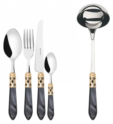 Immagine prodotto di ALADDIN Ghiera Dorata, Posate Set 49 pz, Scatola Wengè, Casa Bugatti